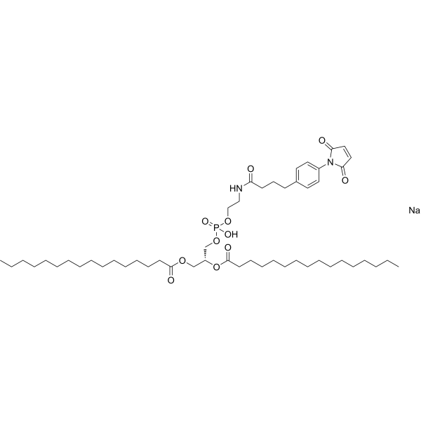 16:0 MPB PE 384835-50-1